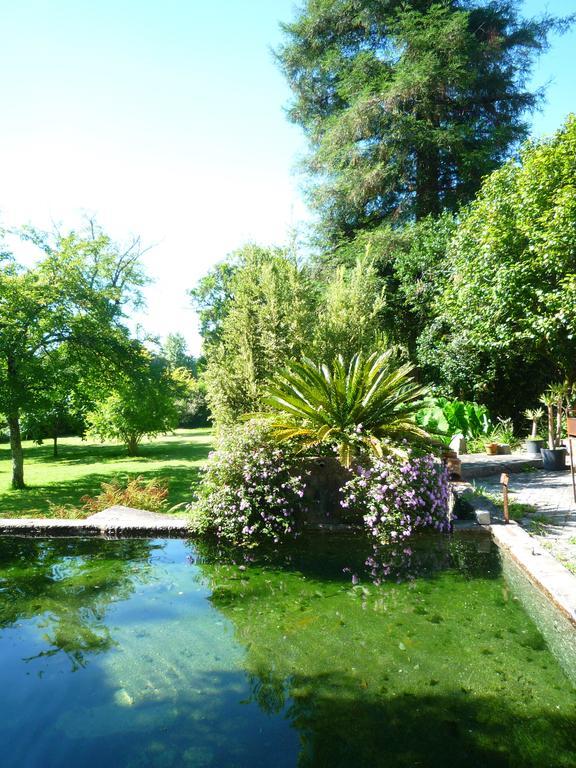 Casa Magnolia Villa Braga Kültér fotó